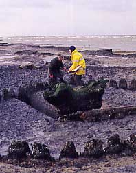 Sea Henge visible at low tide
