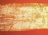 Engraved bone from Robin Hoods Cave, Cresswell Crags Click for a wider view.