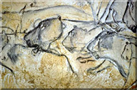 Lion paintings at the Chauvet Cave.