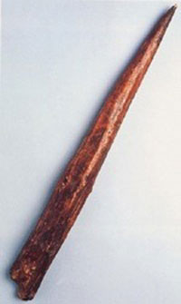Wooden spear tip from Clacton on Sea