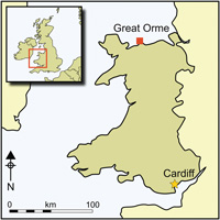 Location of Great Orme in Wales. Picture from cambridge.org/core