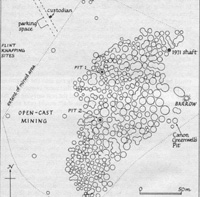 Plan of Grimes Graves as seen today. Picture from Penguin Guide to Prehistoric England and Wales by James Dyer.