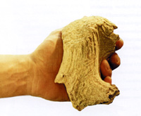 Antler hammer for working flints, found at Boxgrove. From 'Apeman', by Robin McKie