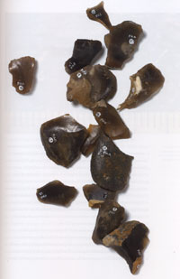 Pakefield worked flints. Picture from 'Homo Britannicus' by Chris Stringer