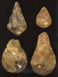 Four of the Swanscombe hand axes. Picture from 'Homo Britannicus' by Chris Stringer.