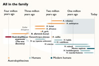 Timeline of early man revised 2019. Picture from the Times 29/08/2019