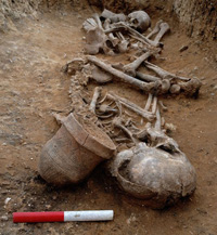 Trumpington Meadows double beaker burial.Picture by Dave Webb of the Cambridge Archaeological Unit - from Guardian 22nd February, 2018.