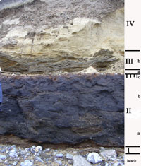 The West Runton cliff layers, showing the FWB at II. Picture from Quaternary Palaeoenvironments Group, university of Cambridge