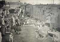 East Suffolk hunt off train at Mellis