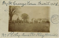 Postcard of Staghounds at Beyton Grange farm