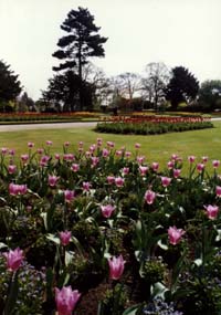 Abbey Gardens