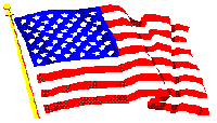 USA Flag