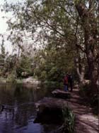 Clare Country Park