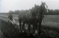 Cornish & Lloyd's GCB plough at Hintlesham. Picture from 'Suffolk at Work' by Robert Malster.