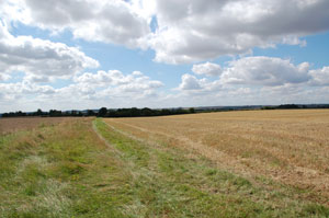 The original trackway south to Purton Green, seen in 2008