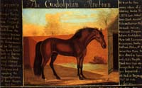 The Godolphin Arabian