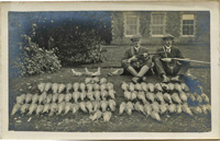 Walton Burrell senior and Frank Burrell show off a large pigeon shoot at New Hall Farm