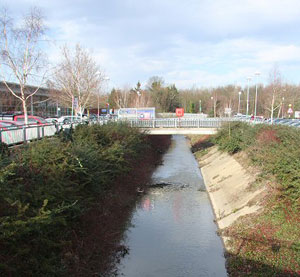 Picture by Bob Jones in 2008.