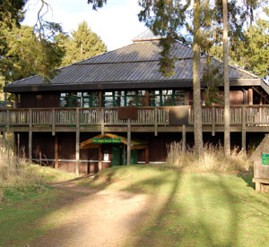Anglo Saxon Centre located below the Angles cafe.