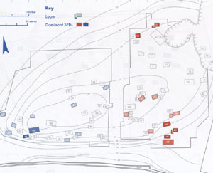 Stanley West's plan of the family groups at West Stow from 550 to 600.