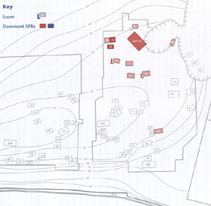 Stanley West's plan of the family groups at West Stow from 600 to 650. From West Stow Revisited, 2001